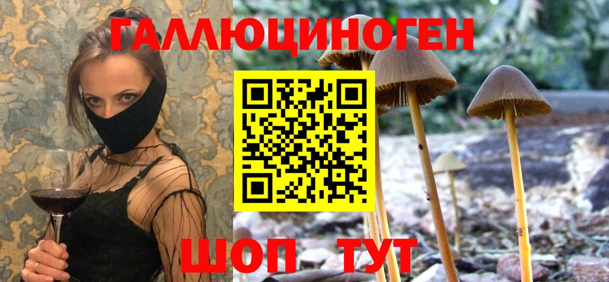 Галлюциногенные грибы ЛСД Амурск